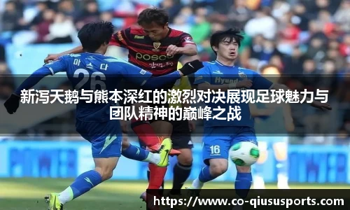 球速体育官方